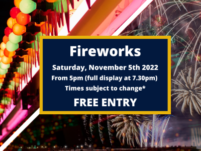 Bordon community fireworks